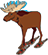 Moose